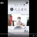 每日一穴之足三里1