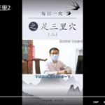 每日一穴之足三里2