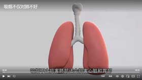 吸烟不仅对肺不好