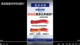 高血脂是怎样形成的？