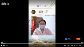 每日一药之藏红花