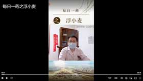 每日一药之浮小麦