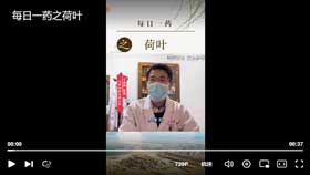 每日一药之荷叶