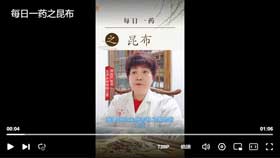 每日一药之昆布