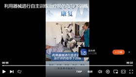 利用器械进行自主训练治疗师的指导下训练