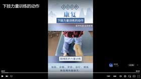 下肢力量训练的动作