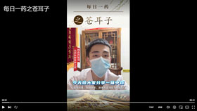 每日一药之苍耳子