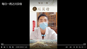 每日一药之川贝母