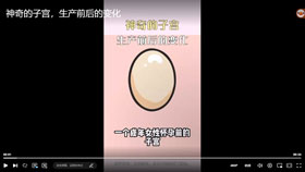 神奇的子宫，生产前后的变化