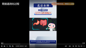 胃肠道的消化过程